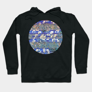 Colourful gradient unique flowers leopard stripes abstract modern 222 Pattern Hoodie